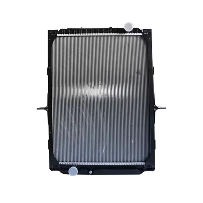 Radiator accessory einnsean DZ91125328